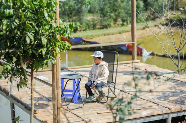 Les avantages des pontons flottants pour votre marina